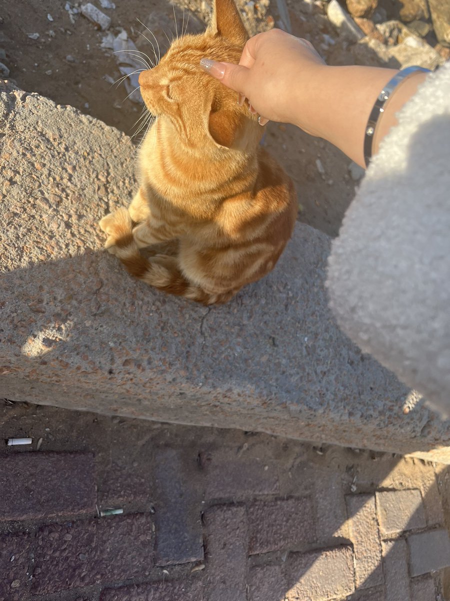 من اول ما دخلت النادي كانت قاعده معايا♥️🥹