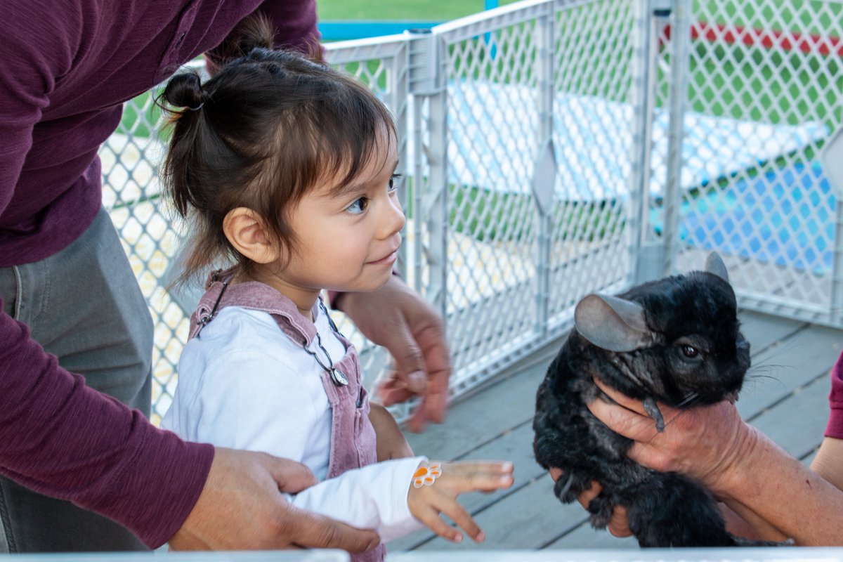 Children's Museum of Discovery tweet media