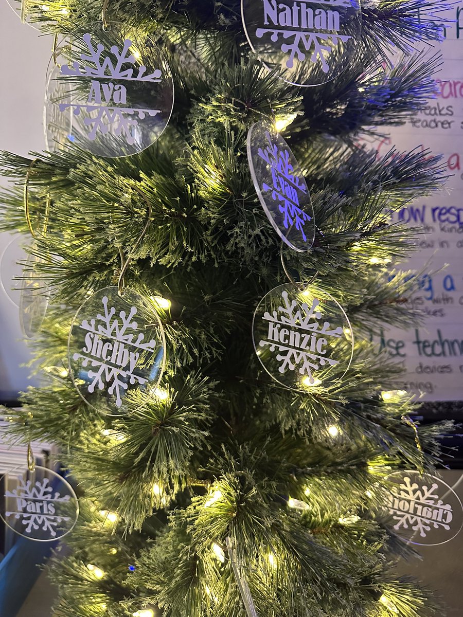 From all of us in 5/6 Lloyd <a href="/MEelementary/">Mount Edward Elementary School</a>, we hope you have a happy, safe and restful winter break! See you all next year!