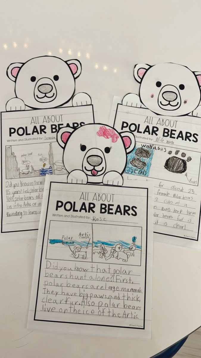 Our informational writing! We all worked so hard!! The polar bear page toppers make it!! 🐻‍❄️