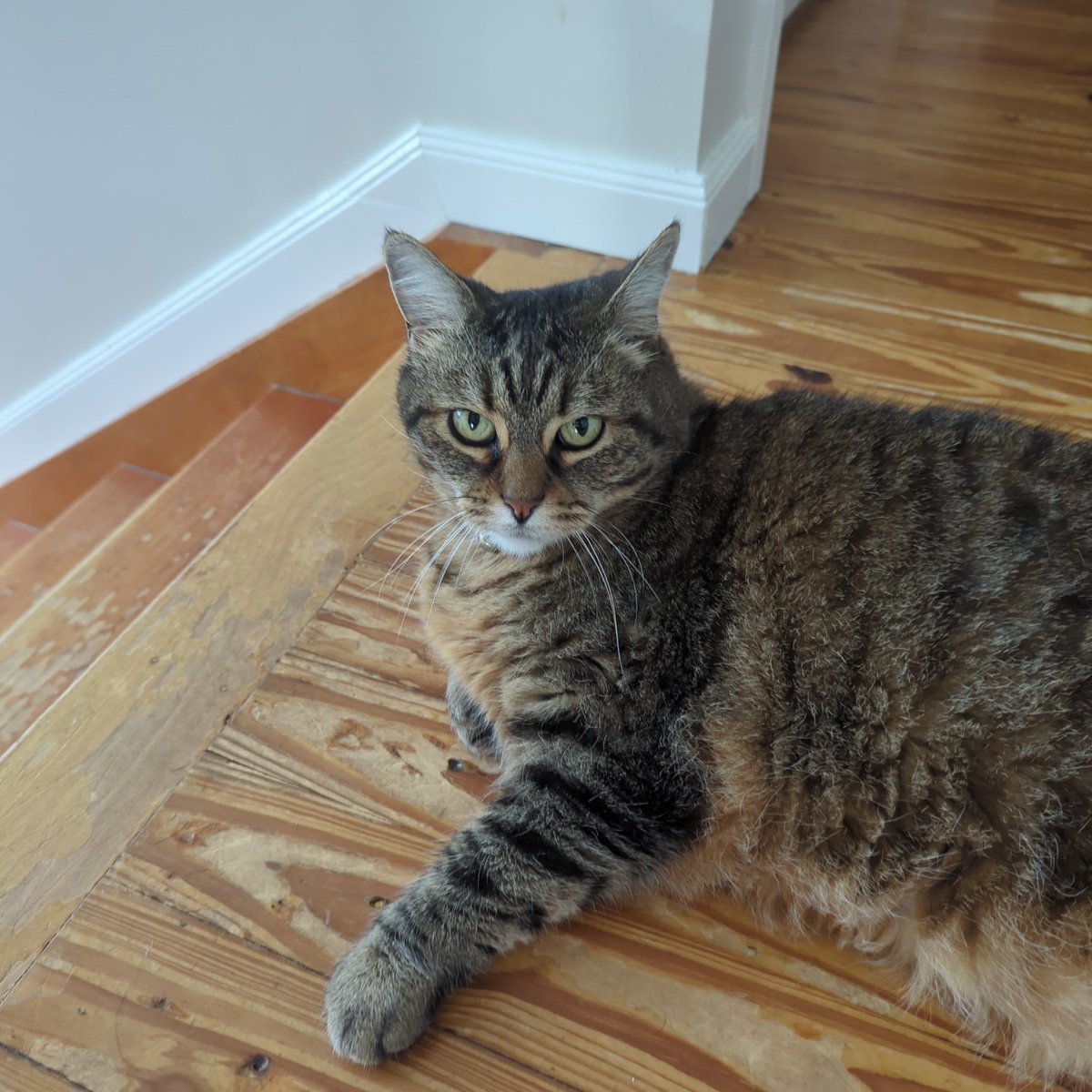 Glen Arrowsmith tweet media