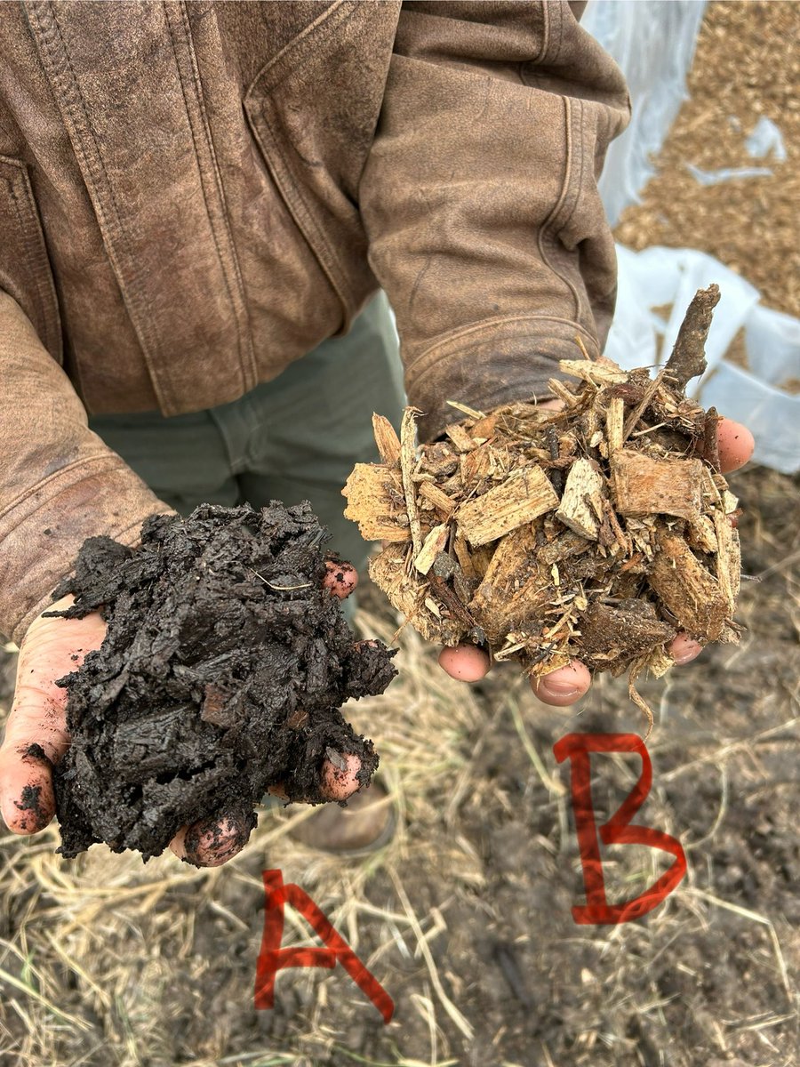 Dr. Billy Beck (@drbillyjbeck) on Twitter photo Early morning #woodchip #bioreactor recharge. Removed 13-yr-old chips (A) and replaced w/ fresh (B).
Part of our Forest-to-Farm research-#extension-teaching efforts.
<a href="/iastate_cals/">ISU College of Agriculture and Life Sciences</a> <a href="/ISUANR/">ISU ANR Extension</a> #waterquality #forestry #woodisgood
Learn more 👇
naturalresources.extension.iastate.edu/programs/fores… Early morning #woodchip #bioreactor recharge. Removed 13-yr-old chips (A) and replaced w/ fresh (B).
Part of our Forest-to-Farm research-#extension-teaching efforts.
<a href="/iastate_cals/">ISU College of Agriculture and Life Sciences</a> <a href="/ISUANR/">ISU ANR Extension</a> #waterquality #forestry #woodisgood
Learn more 👇
naturalresources.extension.iastate.edu/programs/fores…