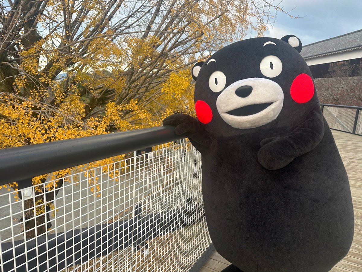 おはくま〜！出かける人も仕事の人も、気を付けていってらっしゃいだモン！