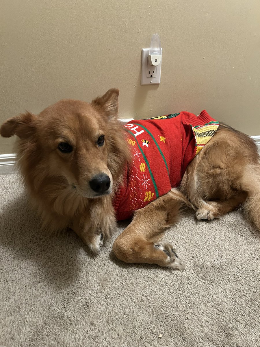 Angel🍄 tweet media