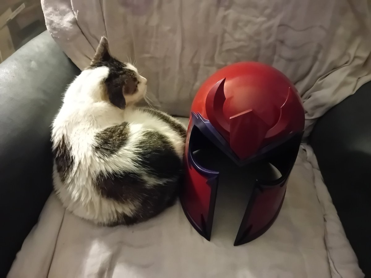 My good friend of (far too) many years <a href="/Eoin_tweets/">Eoin McAuley</a> fulfilled a months-long running joke and got me a Magneto helmet for Christmas. Here's our post-surgery cat Deebs snuggled up against it precisely like I hoped he wouldn't do.