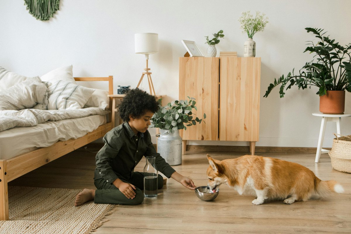 HappyDogsPM's tweet photo. Come shop our awesome bowl selection! https://t.co/MqgUj8qrJ3
#dogbowl #dog #dogs #dogsofinstagram #doglovers #dogbowls #doglife #petbowl #dogfood #catbowl #puppy #dogoftheday #dogstagram #puppies #dogbed #doglover #dogsofinsta #doglove #dogslife #puppybowl https://t.co/UC5Uu00EAP