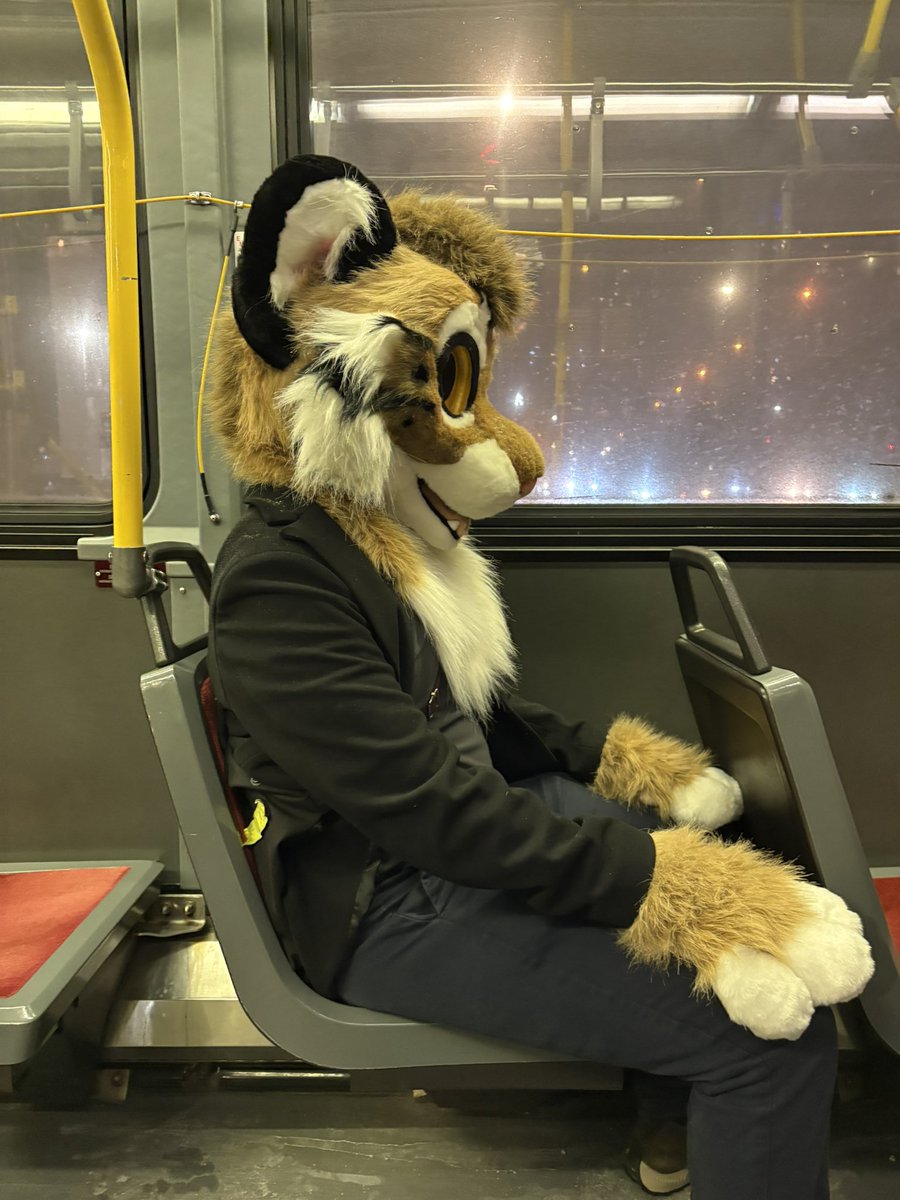 Kitty op de cuck stoel