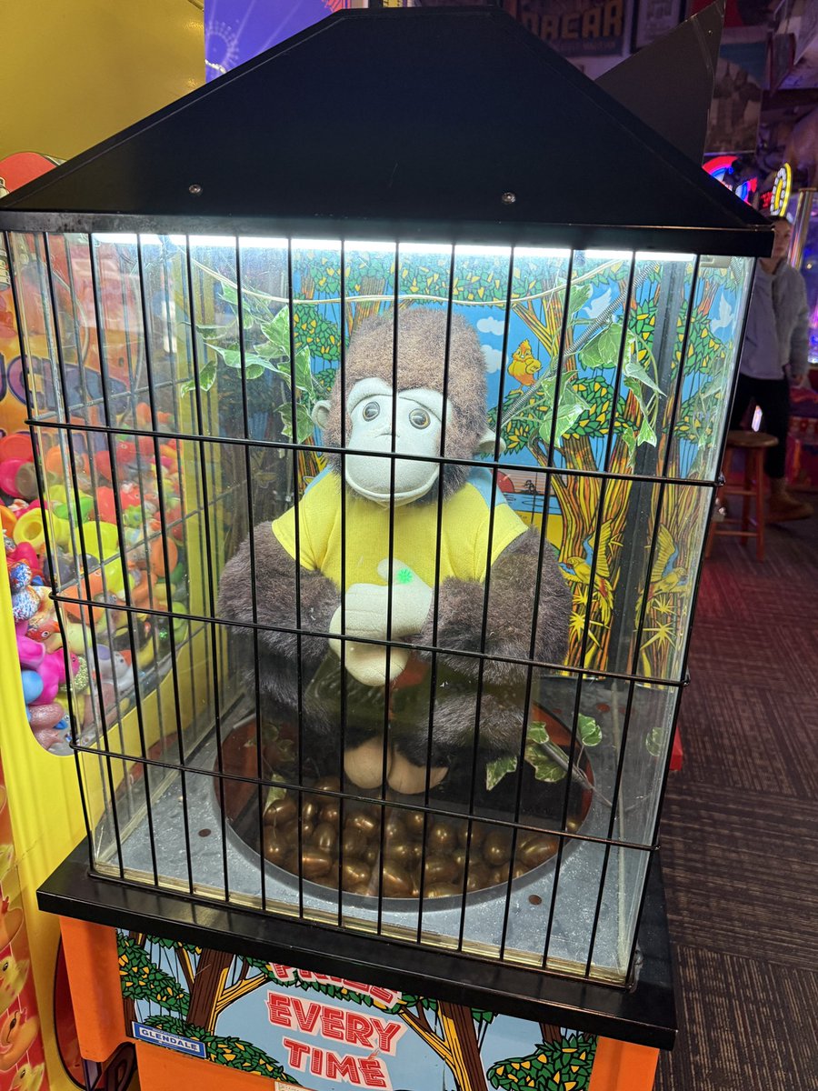 Eitthvað sem ekki allir vita, en bróðir Bóbó apa er staddur í Michigan í Bandaríkjunum. Hann skilar kveðju til allra sem minnast Bóbó heitins. #Eden #BringBackBóbó