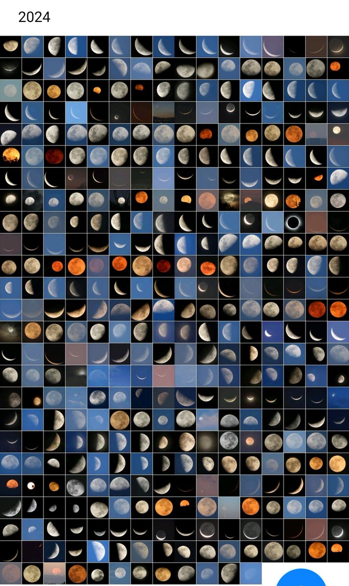 4iluj's tweet photo. Mis lunas del 2024 hasta el día de hoy 20 de diciembre https://t.co/PvhdpXj87T