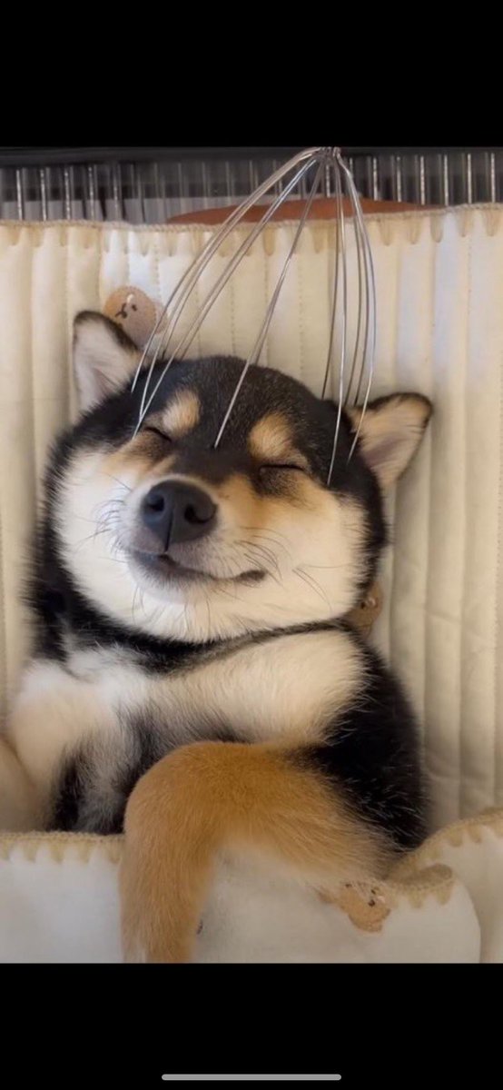 $manyu  has dropped to its lowest levels, returning to a critical support zone. this area has historically been where buyers step in, making it an interesting level to watch.
the chart shows a clear pattern of spikes followed by corrections. now it seems to be consolidating,