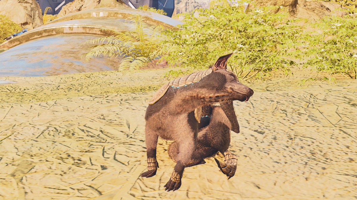 12owa_ak's tweet photo. エクスティンクションの新生物捕まえた！！
【おすすめテイム方法】
※プレイヤーにだけ敵対しない
１、生肉をドロップする（おすすめは1個ずつ少し離して）
２、においをかいで「なでる」が出るのでそれを押す
（本来は２の後に土に潜るけど１個ずつ少し離せば潜らない）
#ARKSurvivalAscended https://t.co/qqxFgsobWz