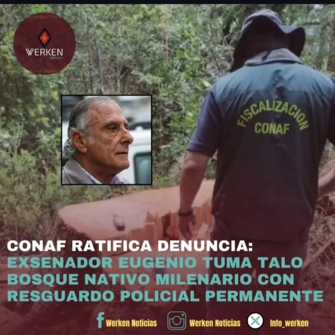 En Resistencia COLECTIVO tweet media