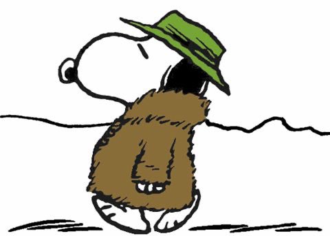 snoomfies's tweet photo. Snoopy in winter clothes https://t.co/rIrHGmK0X4
