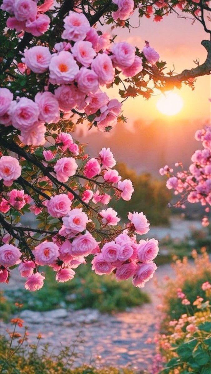 Be a  finest, loveliest, tenderest, and most beautiful person 

Morning Vibes ✨