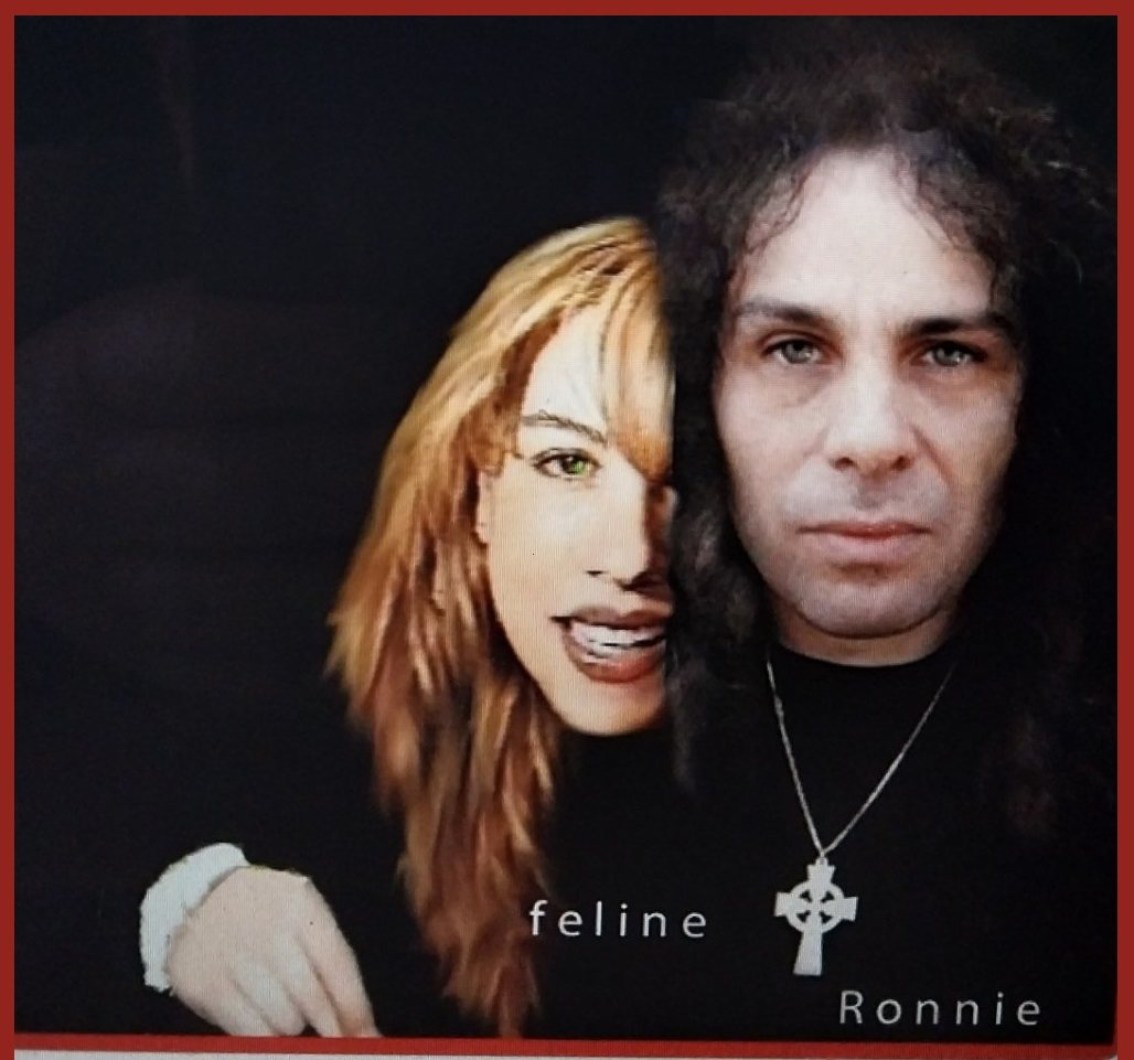 Very-Feline tweet media