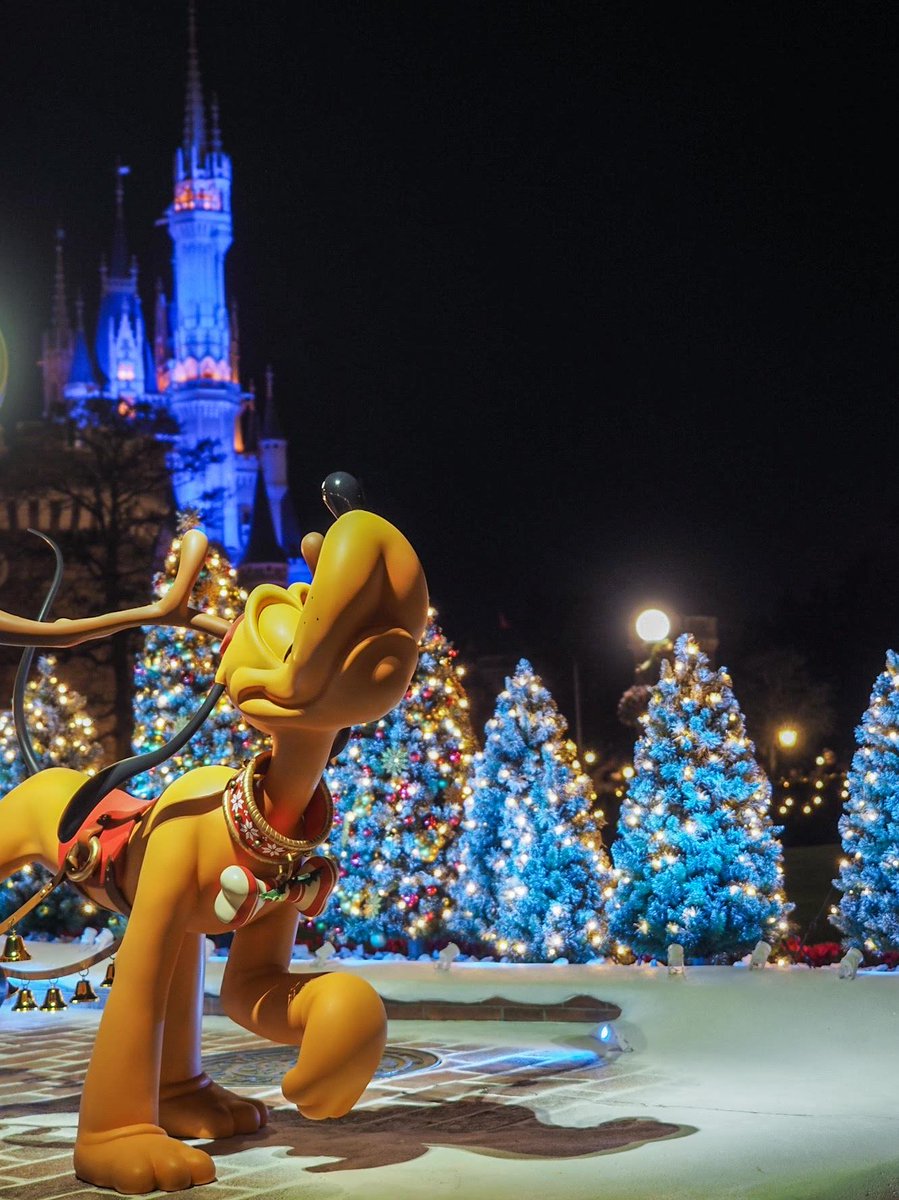 cojlcoji12345's tweet image. 2018年のディズニーランドのクリスマス写真が急に出てきて戸惑ってる🥹🥹🥹

あの頃はアトラクションばかりだったのによくぞちゃんと色々撮ってたと当時の自分を褒めたい

#tokyodisneyland 
#TDR_history 
#Christmas2018