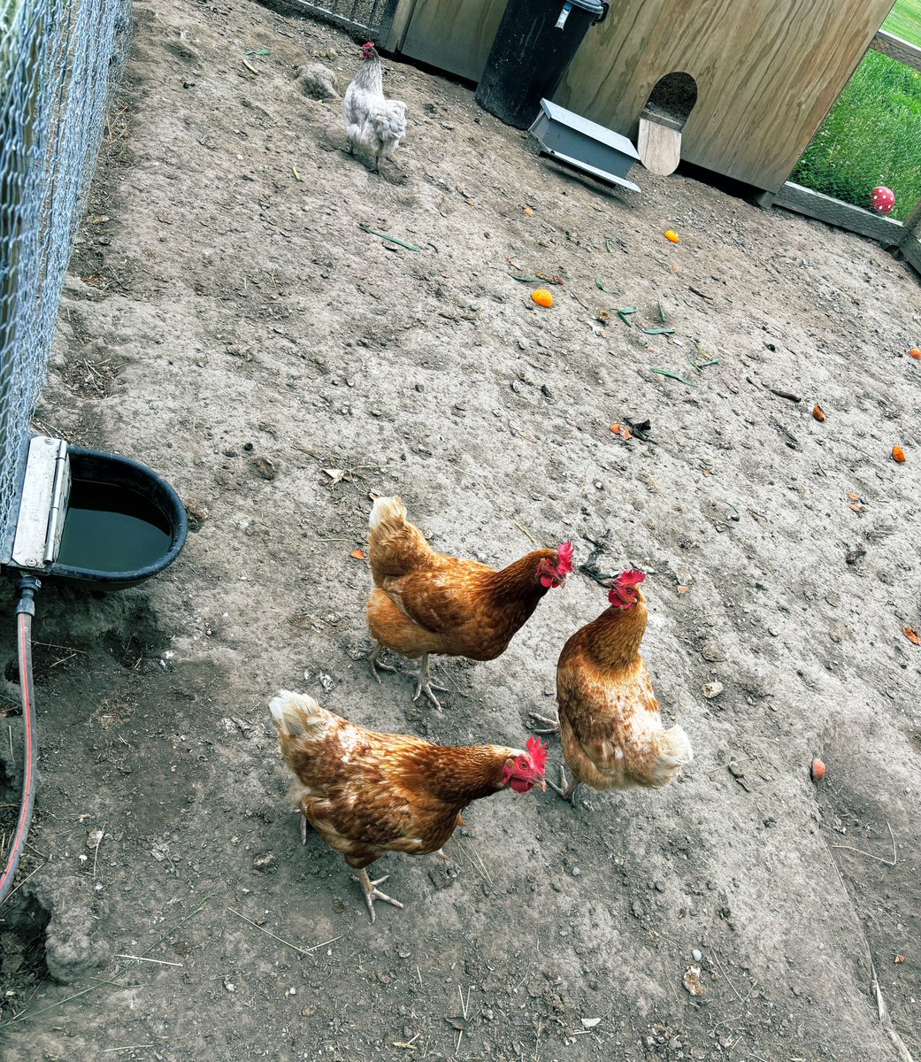 我喜欢的田园生活是这样的