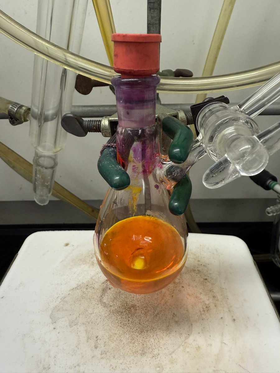 AlxRbb's tweet photo. Protected ➡️ De-protected

#postdoc week: 39
#fluorescencefriday https://t.co/1XASGkG8N2