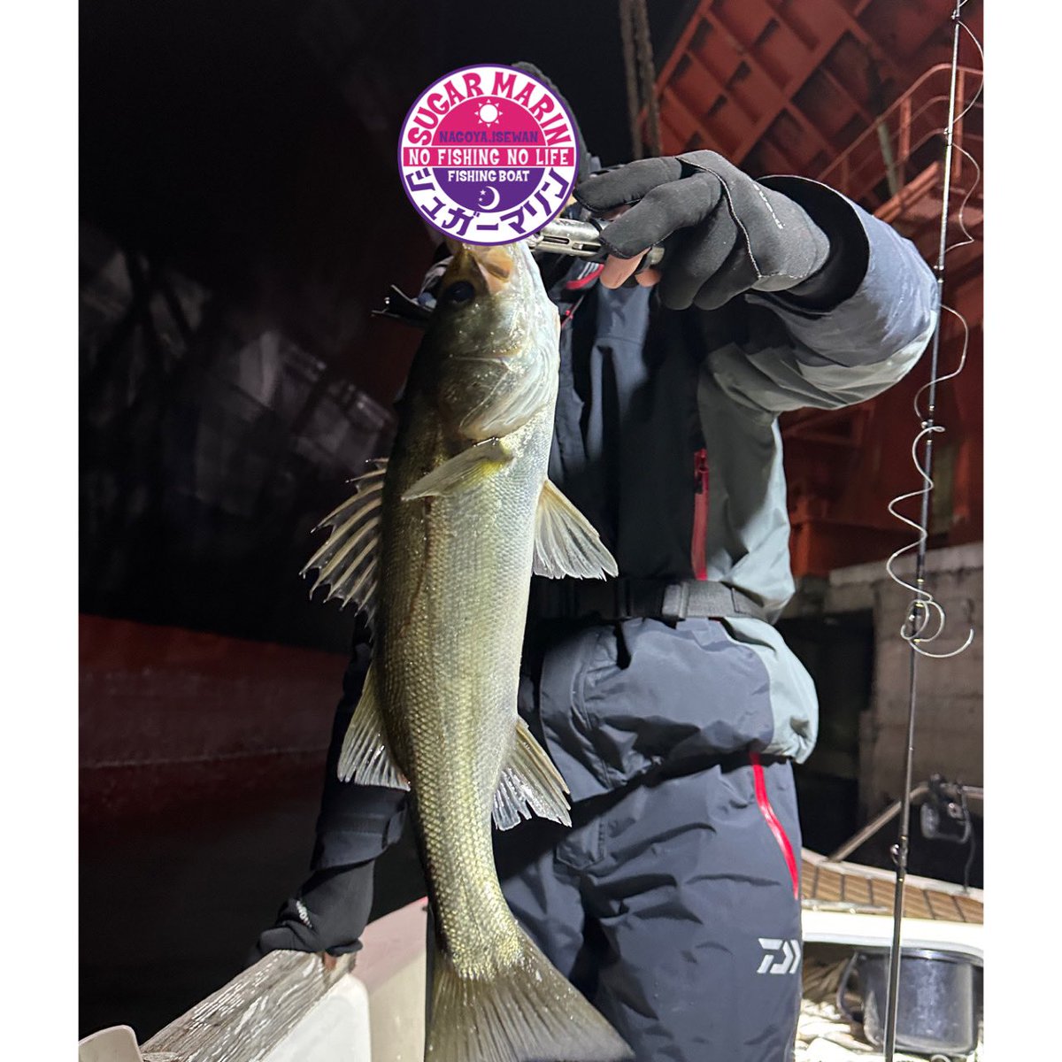 sugarmarin2022's tweet photo. サイズはイマイチでしたが数釣りが楽しめて良い夜でした。

#ボートシーバス#sugarmarin#名古屋港#名古��港シーバス#伊勢湾#釣果#釣りガール#seabaka#釣りバカ#釣り女子#シーバス#ランカーシーバス#穴撃ち#魚釣り#マゴチ#ブリ#ハマチ#サゴシ#サワラ
#キジハタ#名古屋港ガイド船 https://t.co/g3mhKRMK1t