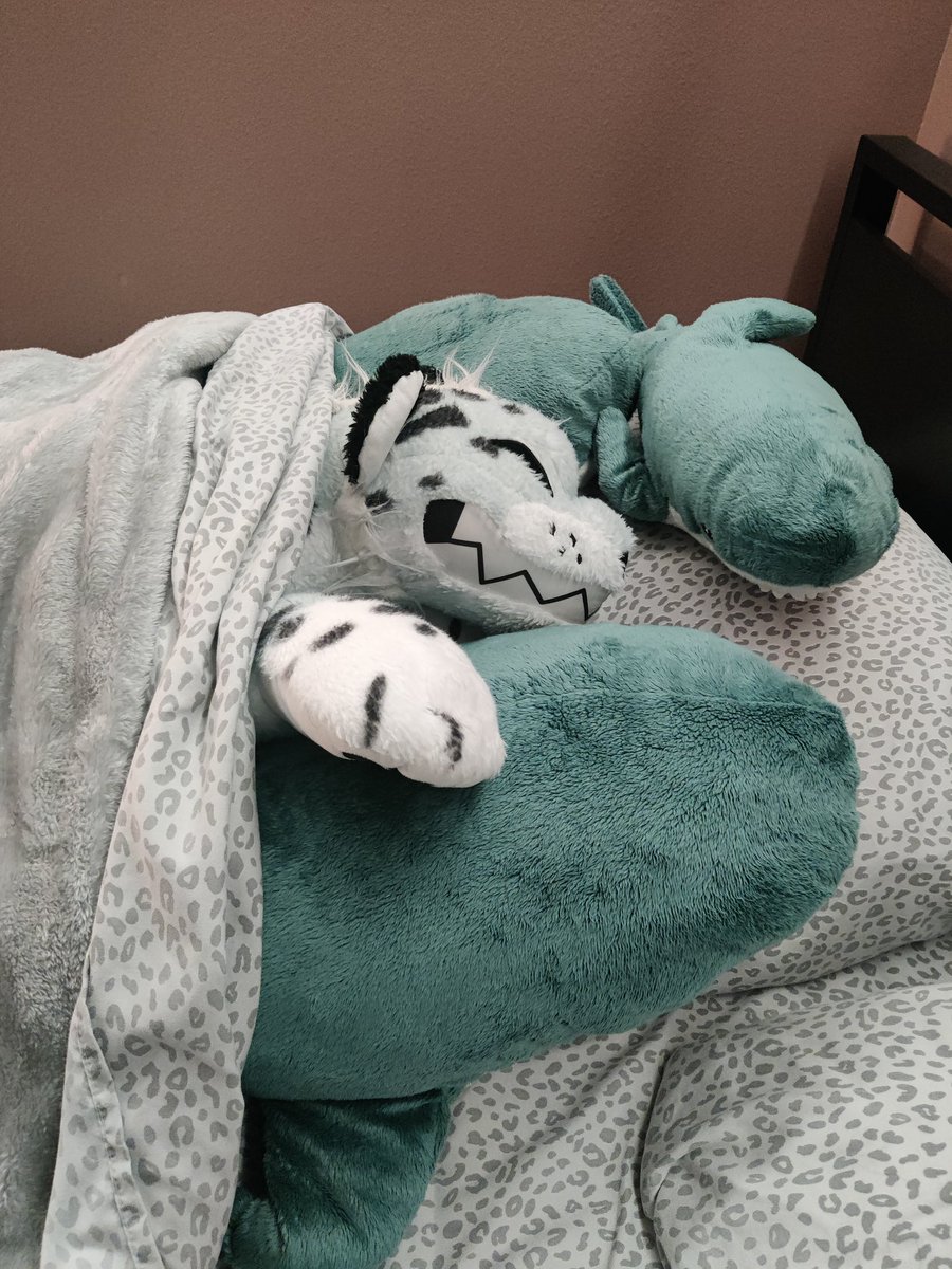 GreyCat48's tweet image. You cannot say they are not as snug as a bug in a rug.