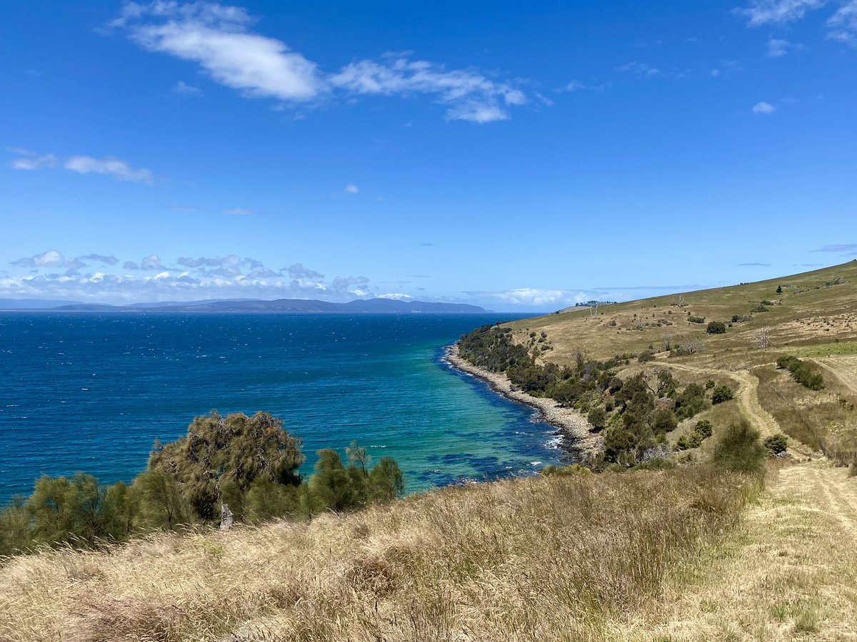 Adam Holmes tweet media