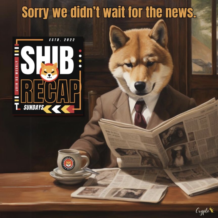 $Shib ₿ender 🌬️💨🌪️📈🛸✨ tweet media