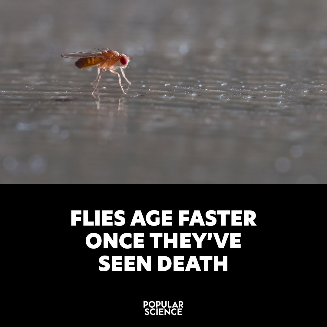 Their brains start changing immediately, and they can never go back to how they were. trib.al/Z8Agj7F