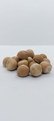 Buy Motti Arecanut from Thrissur at Wholesale Price of Rs 420/Kg commodityonline.com/requirement/se… #commodityonline