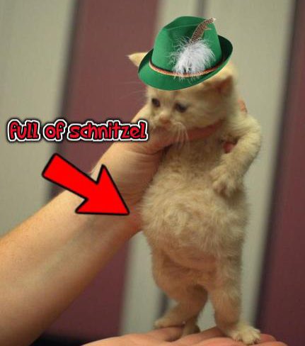 metaphor man (@shitbiscuit) on Twitter photo 