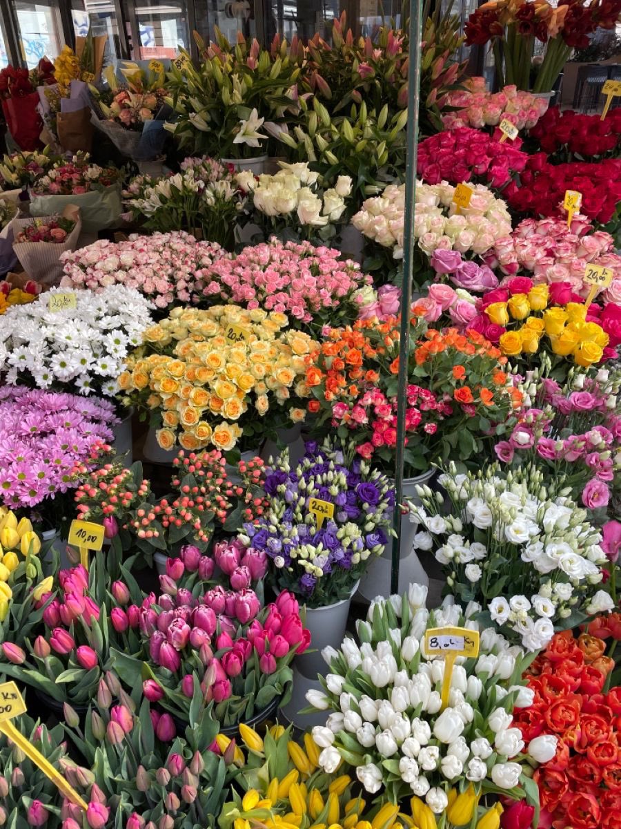 i3Moment's tweet photo. Colorful flowers https://t.co/6AN4i9Ljjj