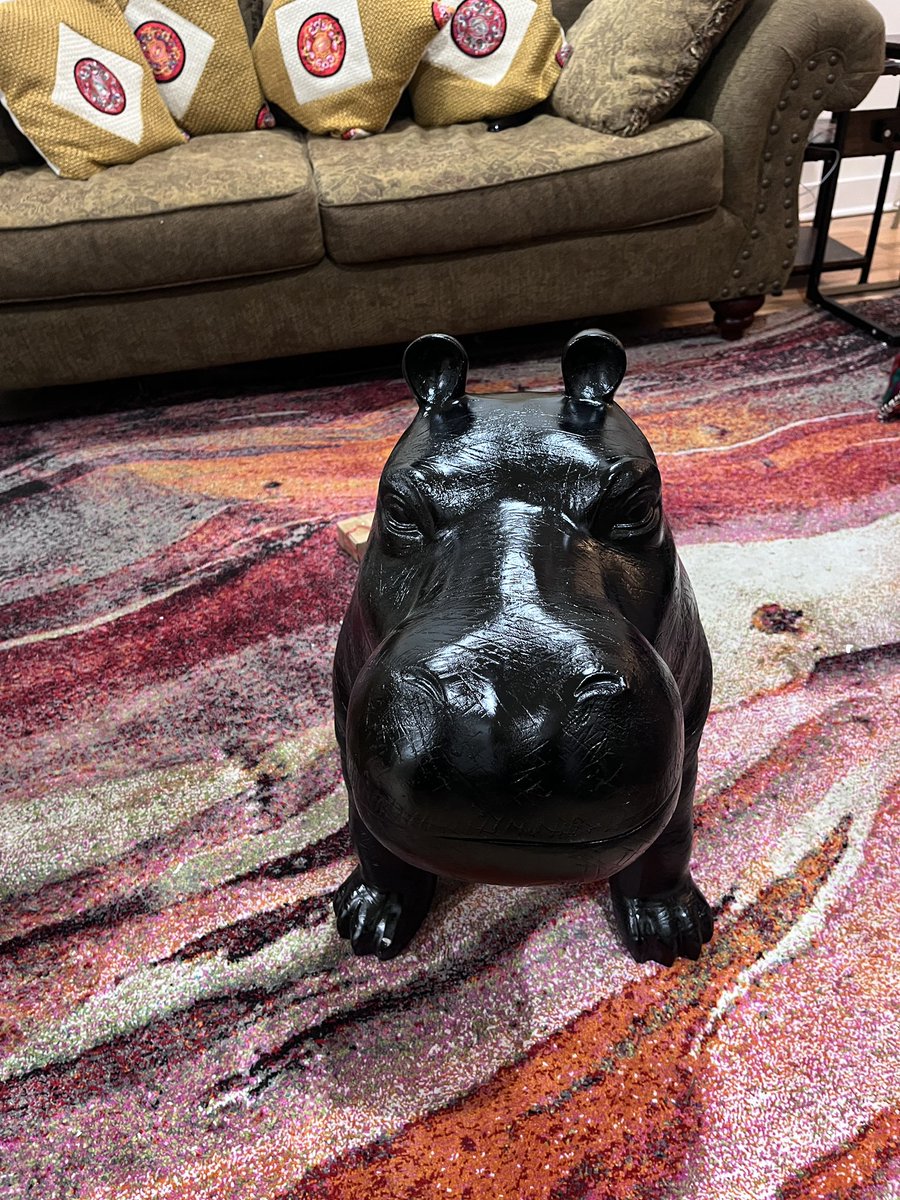 Finally pulled the trigger on a hippo coffee table. 

Only issue is they forgot to pack the table part so now I just have a hippo in the middle of my living room. Still kinda chill I guess.