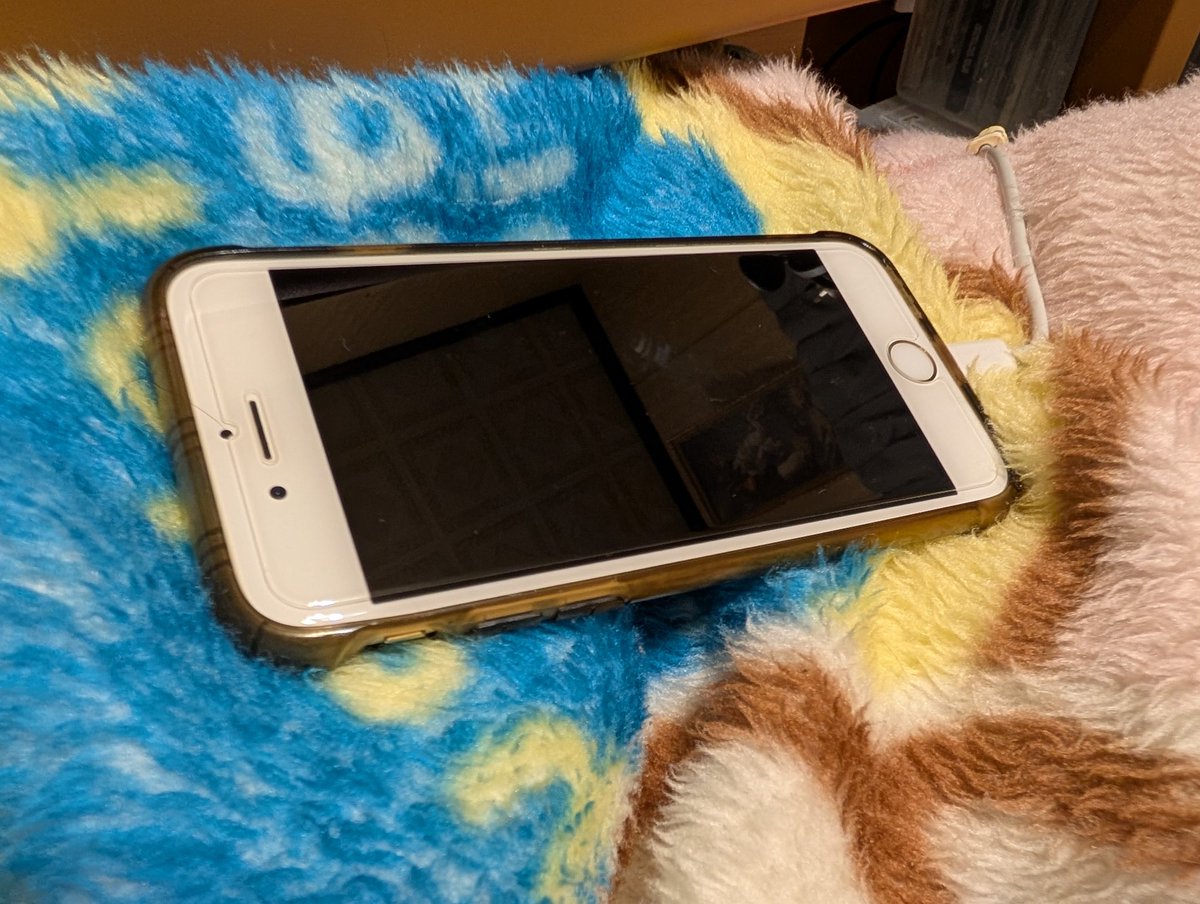 situnaiinakamon's tweet photo. Androidのグーグルピクセルに機種変してしばらく。今まで使っていたアイホンシックスからの変更は大きな出来事でした
使い勝手も違う、少しずつ慣れながらも。グーグルピクセルの機能やトータルデザイン、カッコよさ！惹かれています

ツイッターもグーグルピクセルでツイートです、時代はかわるね https://t.co/LxJxT197me