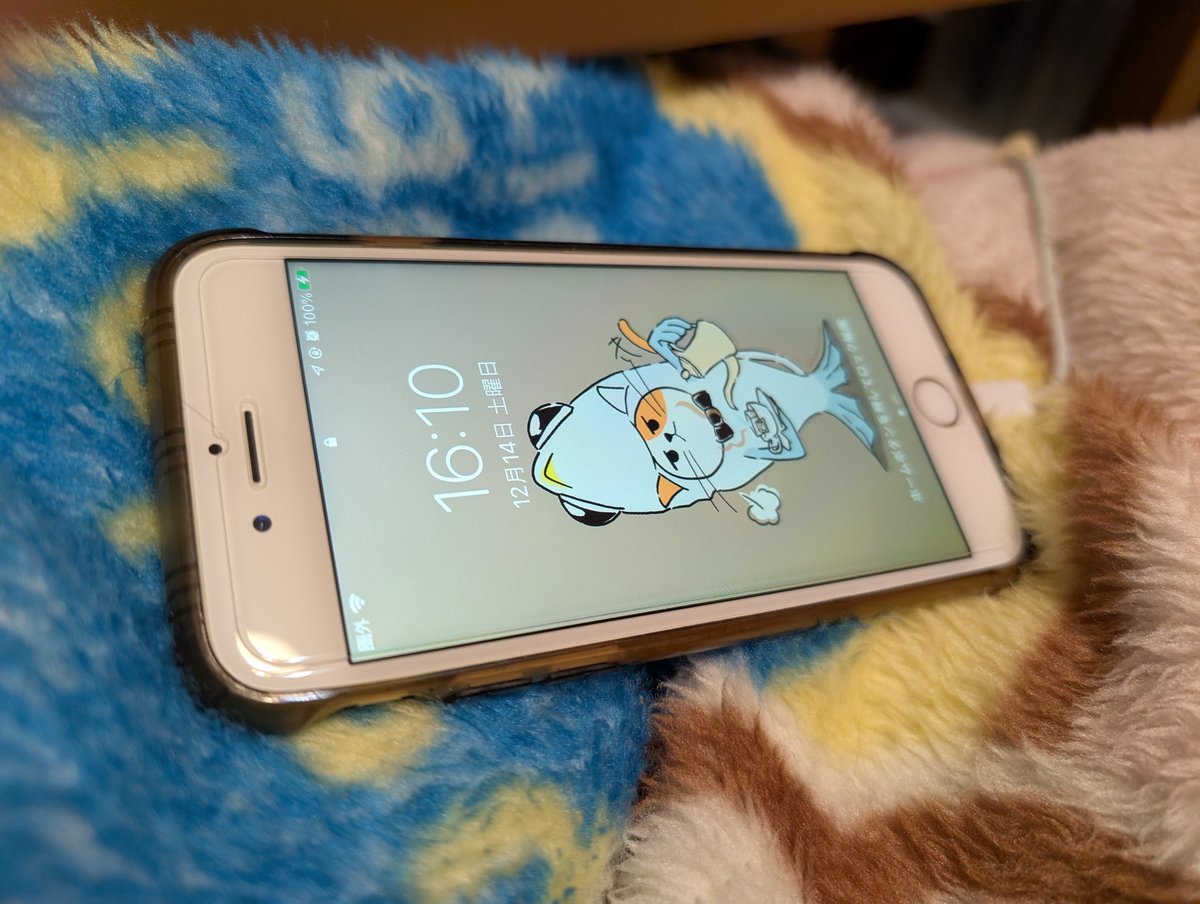 situnaiinakamon's tweet photo. Androidのグーグルピクセルに機種変してしばらく。今まで使っていたアイホンシックスからの変更は大きな出来事でした
使い勝手も違う、少しずつ慣れながらも。グーグルピクセルの機能やトータルデザイン、カッコよさ！惹かれています

ツイッターもグーグルピクセルでツイートです、時代はかわるね https://t.co/LxJxT197me