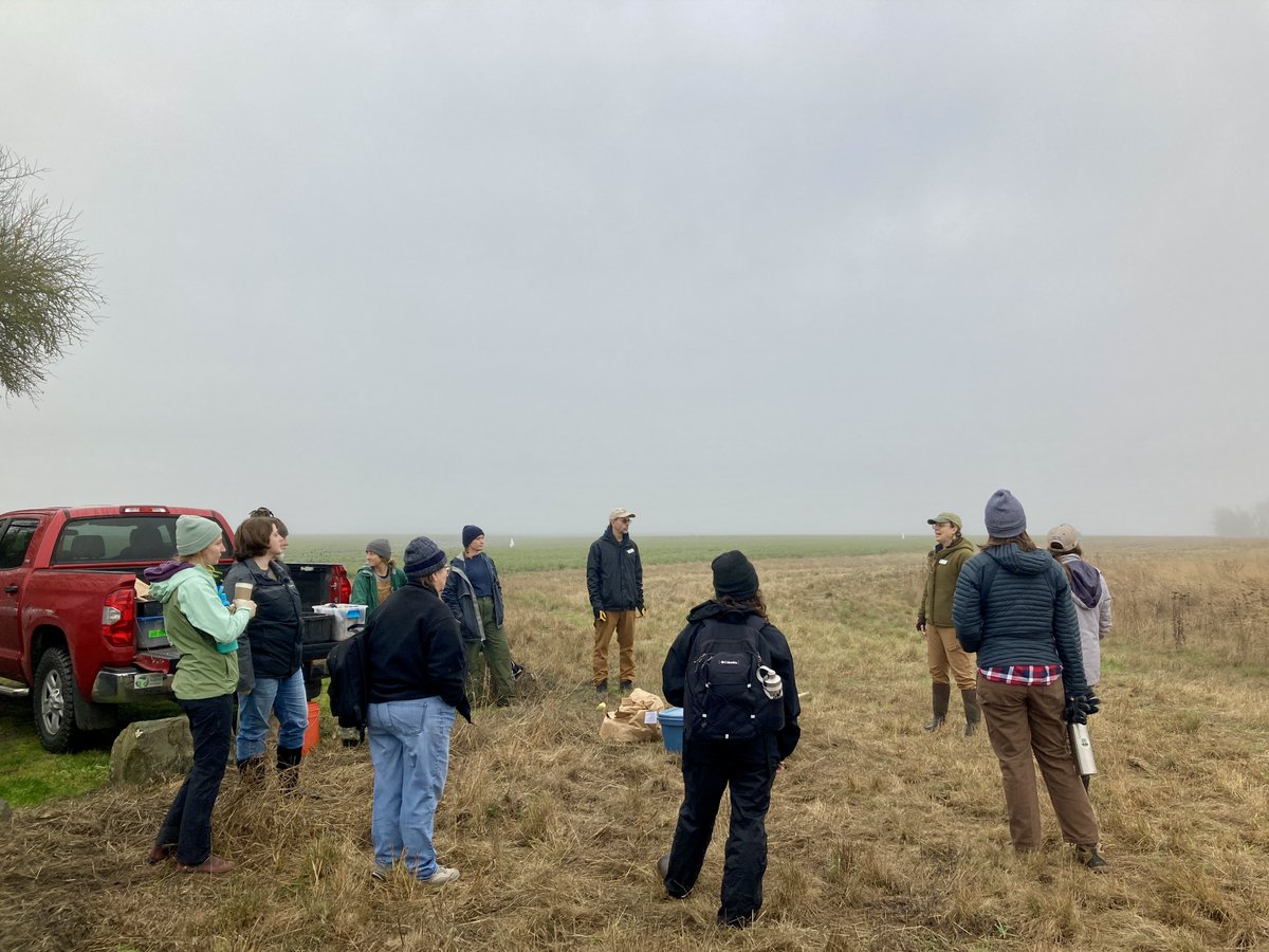 Today volunteers planted a total of 8,467 native plants to restore wet prairies in the Willamette Valley! Stay tuned for more volunteer opportunities in the new year, and happy holidays from all of us at IAE. ❤️