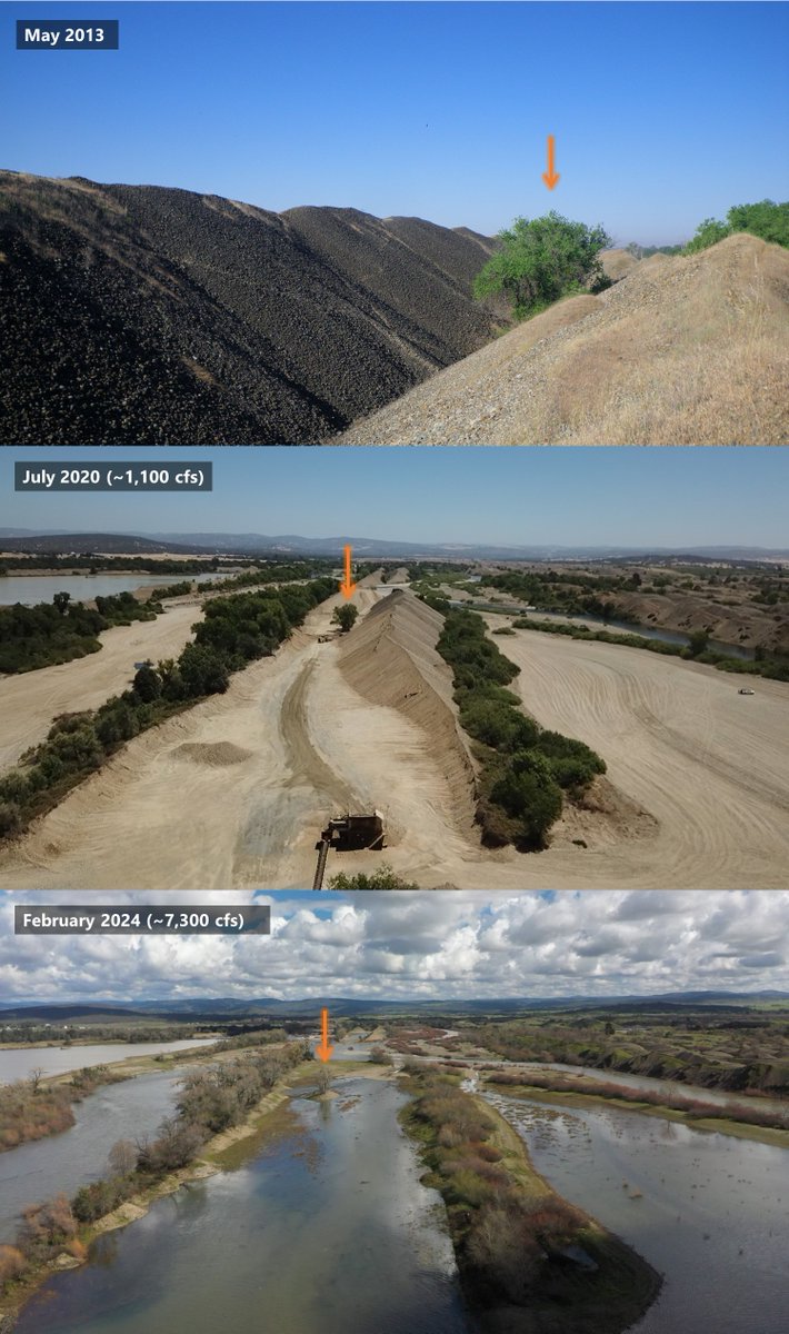 One year ago, the 157-acre Hallwood Side Channel and Floodplain Restoration Project was completed on the lower #YubaRiver! Initial results show:

🐟Salmon + native fish are thriving
🚫Non-native predators nearly eliminated
🐛More bugs (AKA more food)

➡️ bit.ly/hallwoodproject