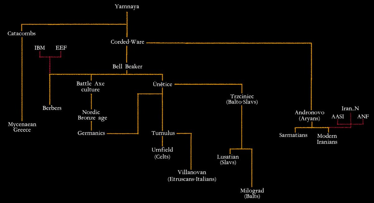 gvrzil's tweet photo. I made an Indo-European cultures tree downstream from Yamnaya (Proto-Indo-Europeans) https://t.co/xGUt7nhrp4