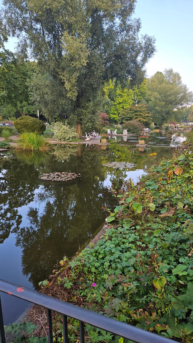 eemua's tweet photo. @lucawya Planten Un Blomen, Hamburg. https://t.co/31Hl19tcJo