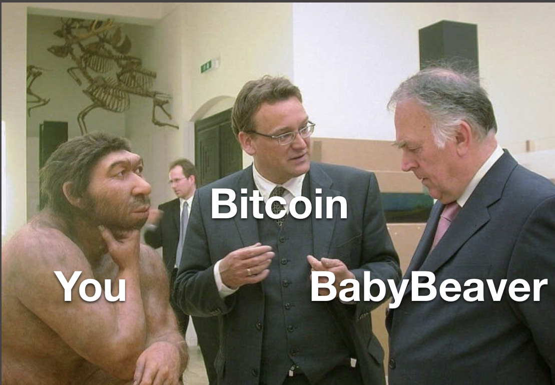 BabyBeaverCoin's tweet photo. @CryptoThro @DroverToken $BBC https://t.co/XemvhlSBeu
