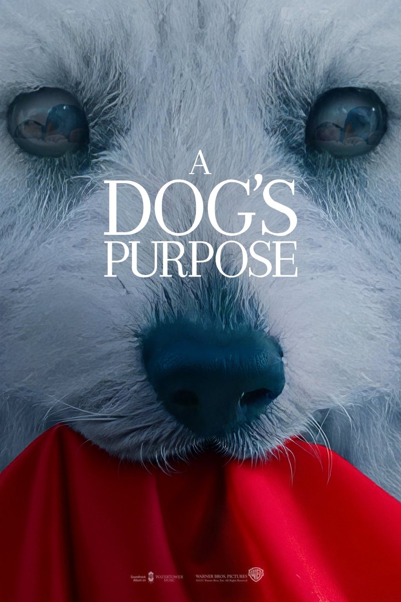 Bosslogic's tweet photo. The goodest boy 🐶
#Superman
 #Krypto https://t.co/u3IQPni5IH