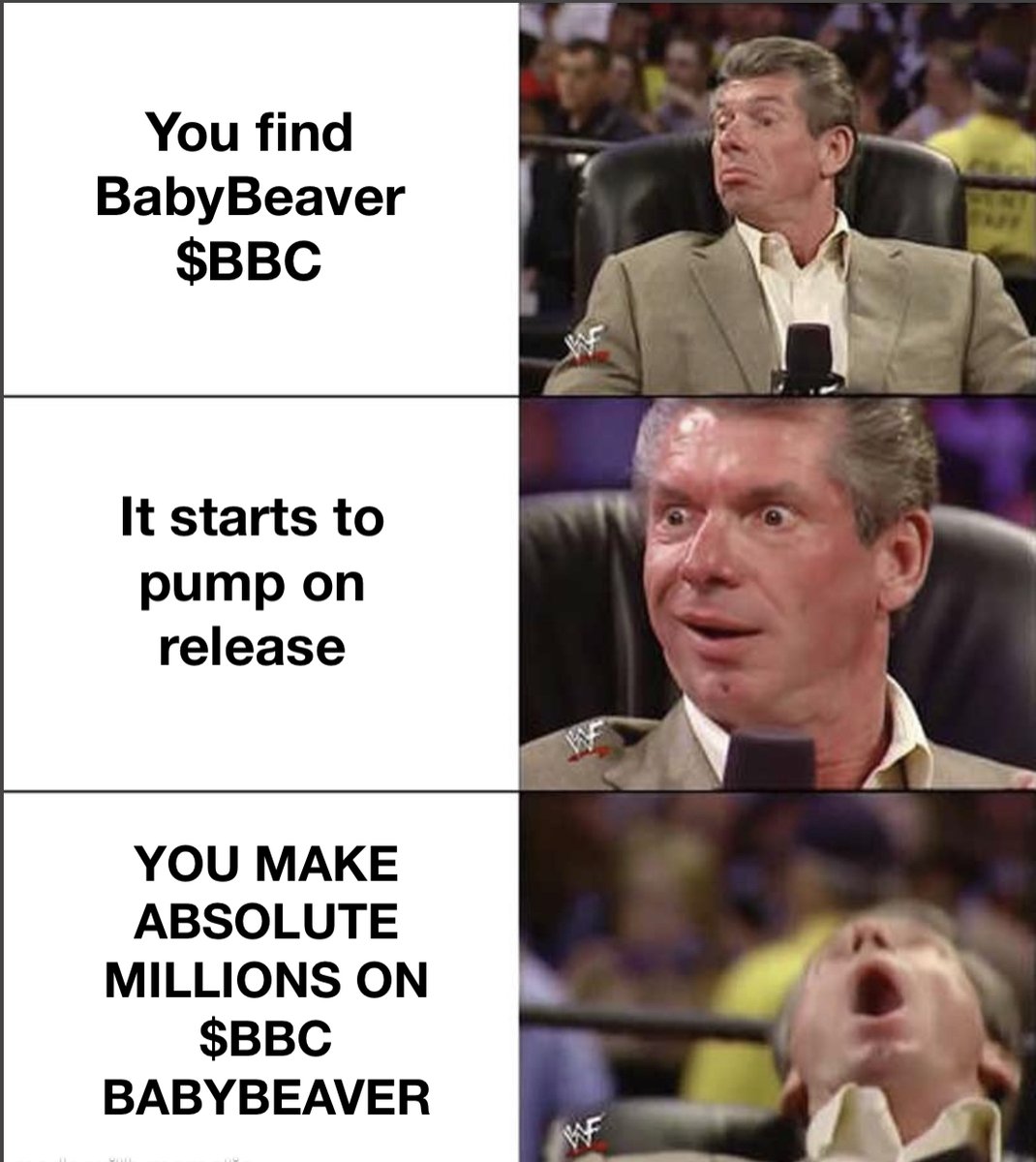 BabyBeaverCoin's tweet photo. @JakeGagain $BBC The Only Good Memecoin To Buy https://t.co/Q8MGgFeakZ