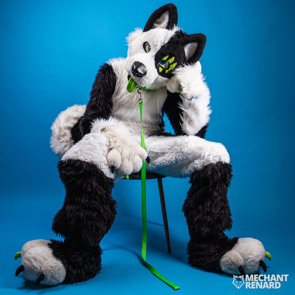 KybaCWC's tweet image. another week to wait, it's long xD who wants to take the leash to pass the time #FursuitFriday #FursuitEveryday
🪡 me ^^ CwC
📸 @mechantrenard