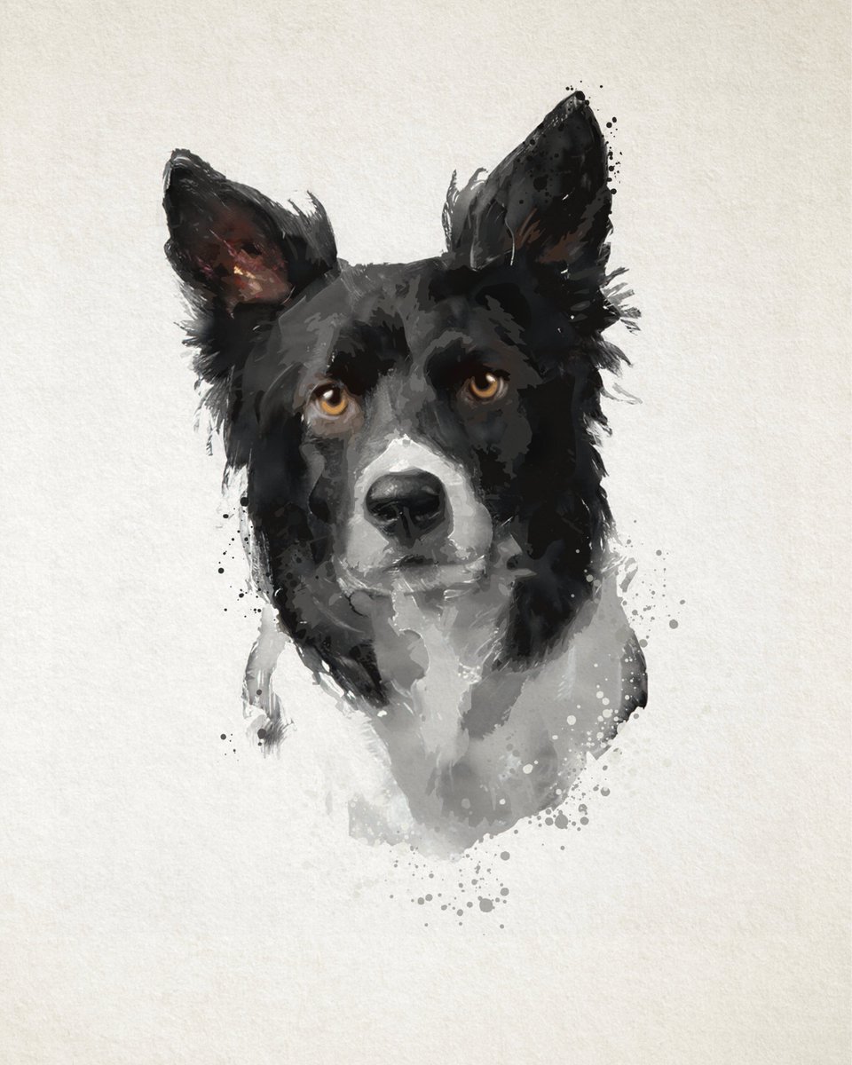 Been having some fun making these water-color style portraits with a combination of photoshop AI and manual methods. Drop a picture of your pet with a clear face and I'll pick a few to do!
