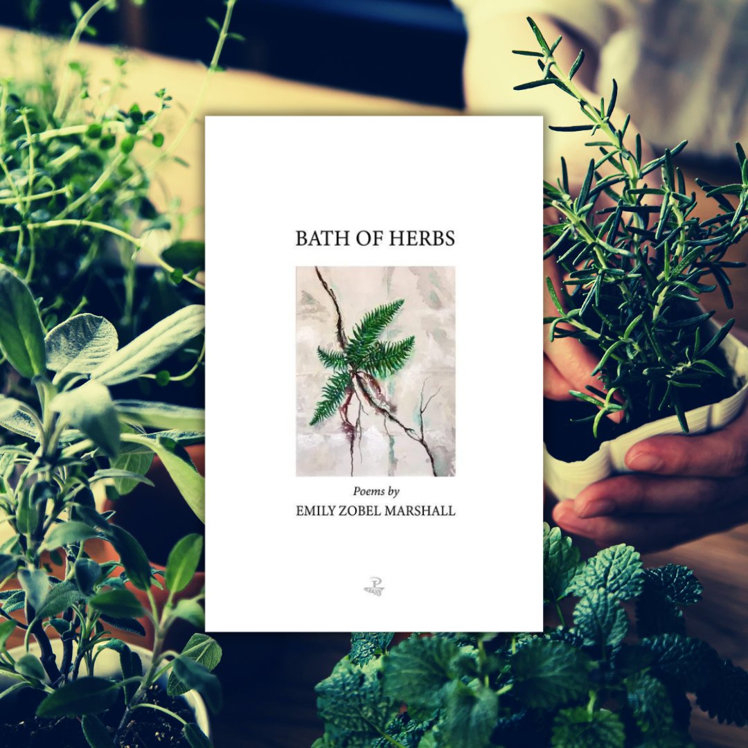Novel Niche 🫒 (@novelniche) on Twitter photo "Anansi, I have a mouthful of blood. Will you kiss me?"
<a href="/SealeyChallenge/">The Sealey Challenge</a> - Bath of Herbs, by <a href="/EmilyZMarshall/">Emily Zobel Marshall</a> (<a href="/peepaltreepress/">Peepal Tree Press</a>)
You'll live with Emily Zobel Marshall's poems in your menstrual blood, your mother's milk, and your adventurer's footfall. "Anansi, I have a mouthful of blood. Will you kiss me?"
<a href="/SealeyChallenge/">The Sealey Challenge</a> - Bath of Herbs, by <a href="/EmilyZMarshall/">Emily Zobel Marshall</a> (<a href="/peepaltreepress/">Peepal Tree Press</a>)
You'll live with Emily Zobel Marshall's poems in your menstrual blood, your mother's milk, and your adventurer's footfall.