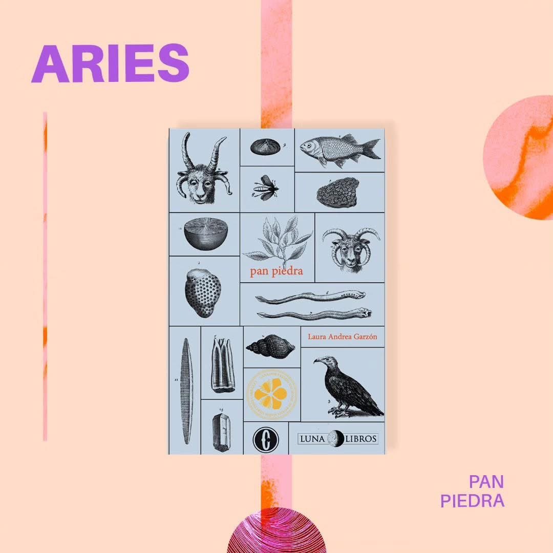 Luna_Libros's tweet photo. Horóscopo lunático 🌕🌜
Descubre nuestras lecturas recomendadas para tus regalos de
Navidad y rituales de fin de año según tu signo zodiacal. 
Recuerda que estos títulos y muchos más están en librerías y en @ladiligencia_co.

#LecturasLunáticas
#RegalaLibrosenNavidad
#Horóscopo https://t.co/8KFUsSwITD
