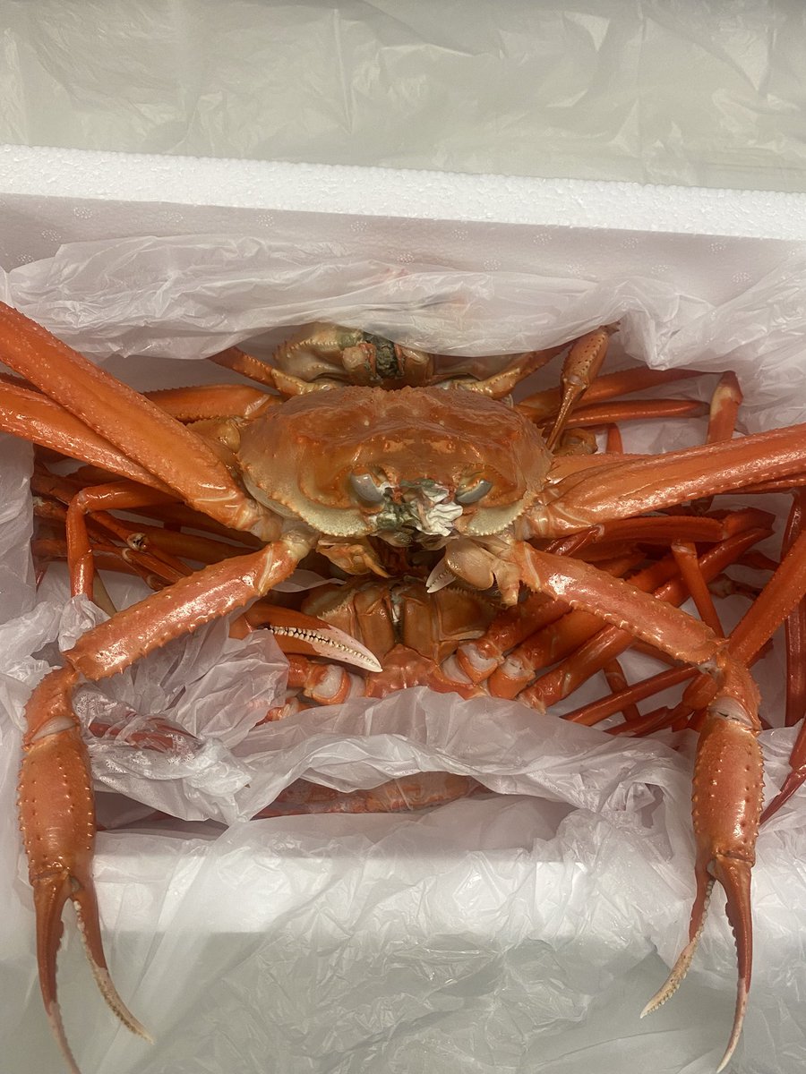 sharno28's tweet photo. OMG 🥰🥰🥰 #김해 #친구 술친구 
allergies later🥲🥲🥲 https://t.co/WCdoceNU0H