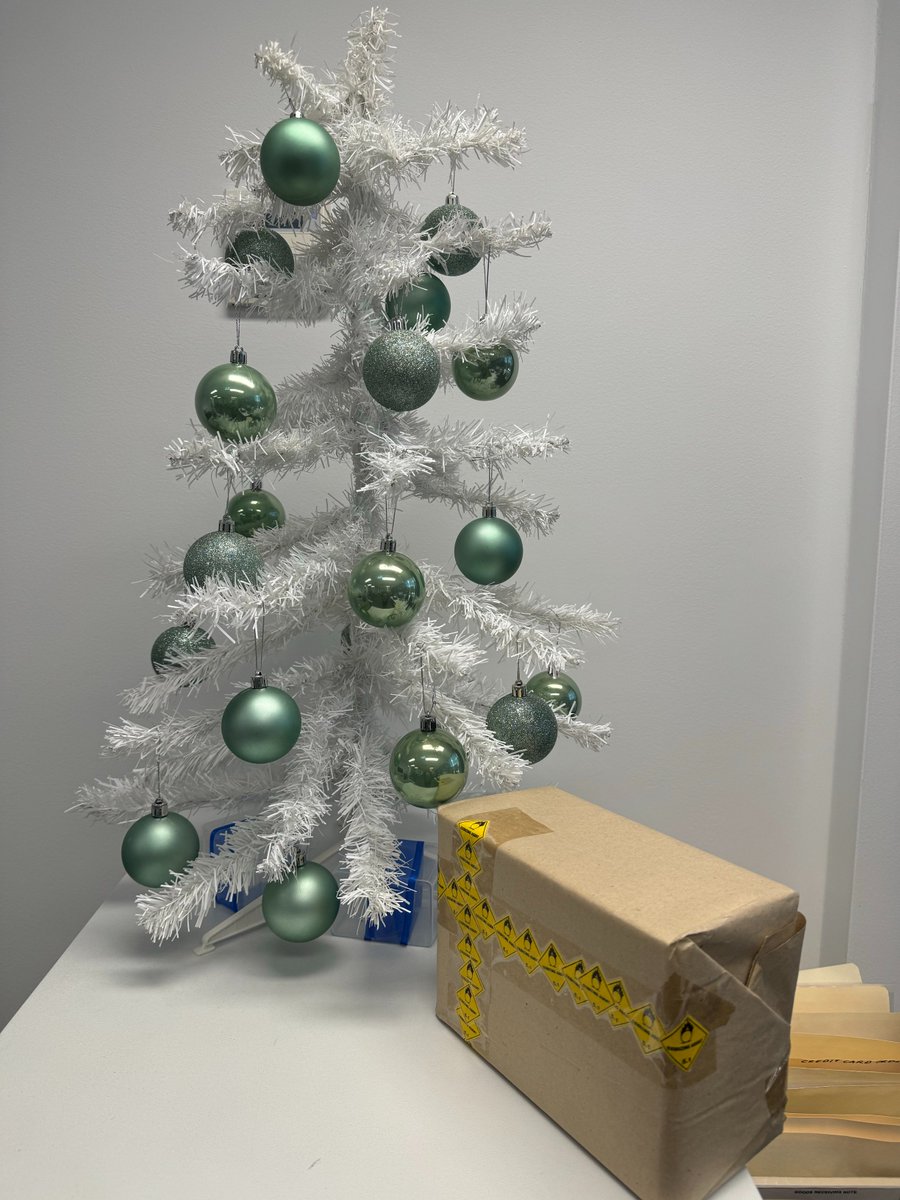 MPBio_Aus's tweet photo. 🎄✨ Holiday vibes are in the air! ✨🎄
The holiday cheer has taken over every corner of our Australia office! 🌟
These small yet thoughtful touches bring so much warmth and joy to our workspace, reminding us of the essence of togetherness, gratitude &amp; celebration.
#HolidayCheer https://t.co/6oVAbOoypb