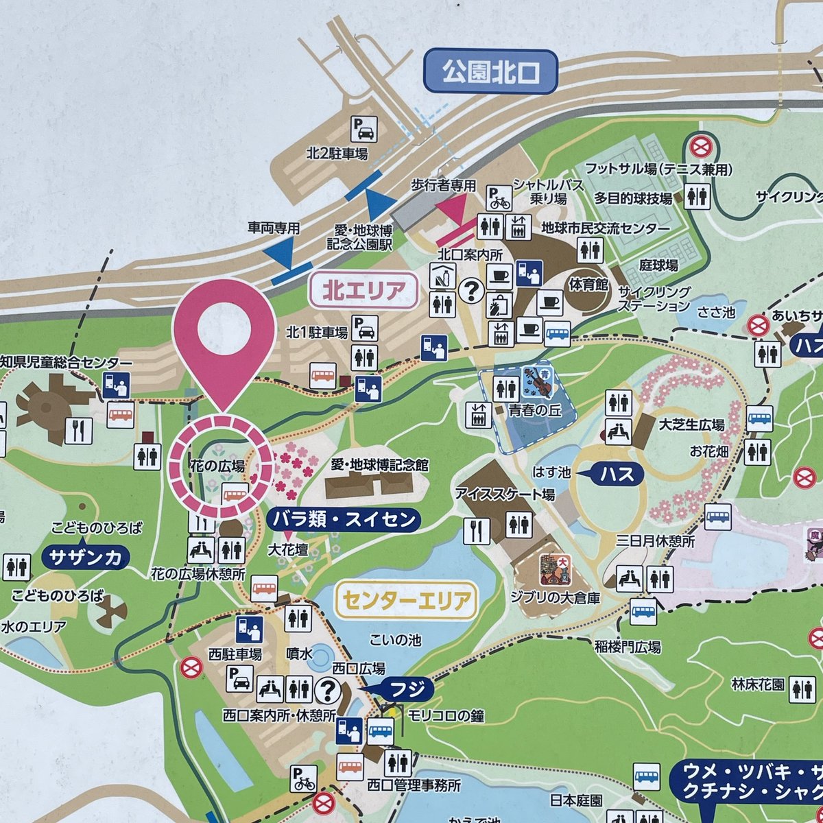 designmolis's tweet photo. モリコロ��ークの花の広場休憩所はリニモの駅のある北口からみて「右」側、センターエリアの中では西よりの場所となります

園内無料バスは西ルートのW1「花の広場」がすぐそこです

木の雑貨販売は明日まで🌲
素敵な出会いがありますように✨ https://t.co/JLzM2VbJad