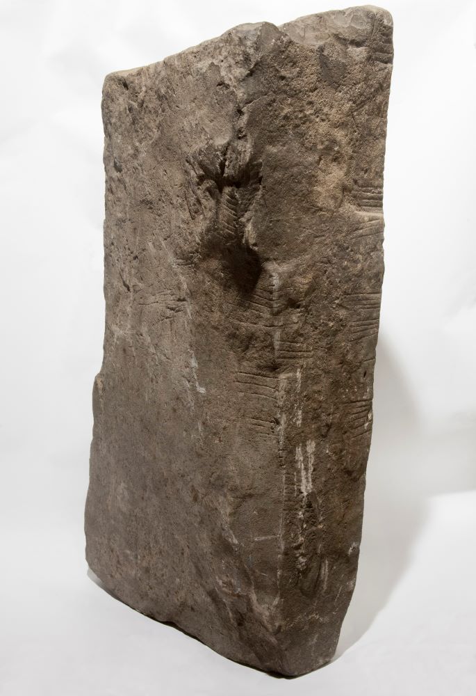 David Stifter 🍵📄🦊 tweet media