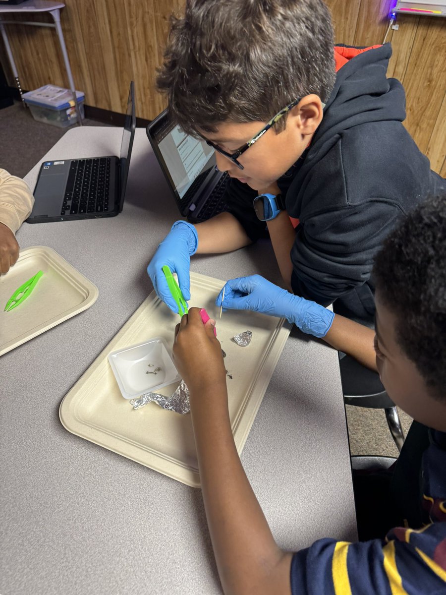 Dissecting Owl Pellets is one of my absolute favorites!!! To watch the students go from 🤢 to complete scientist mode is so much fun!!!!  Hands on learning at its finest! #WeAreGroves #fortheloveofscience #handsonlearning #owlpellets
