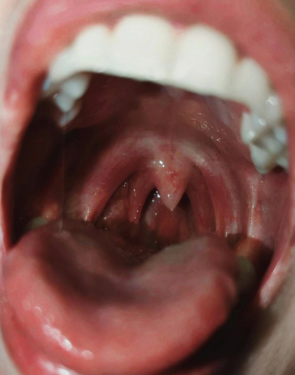 lulufangs.bsky.social tweet media